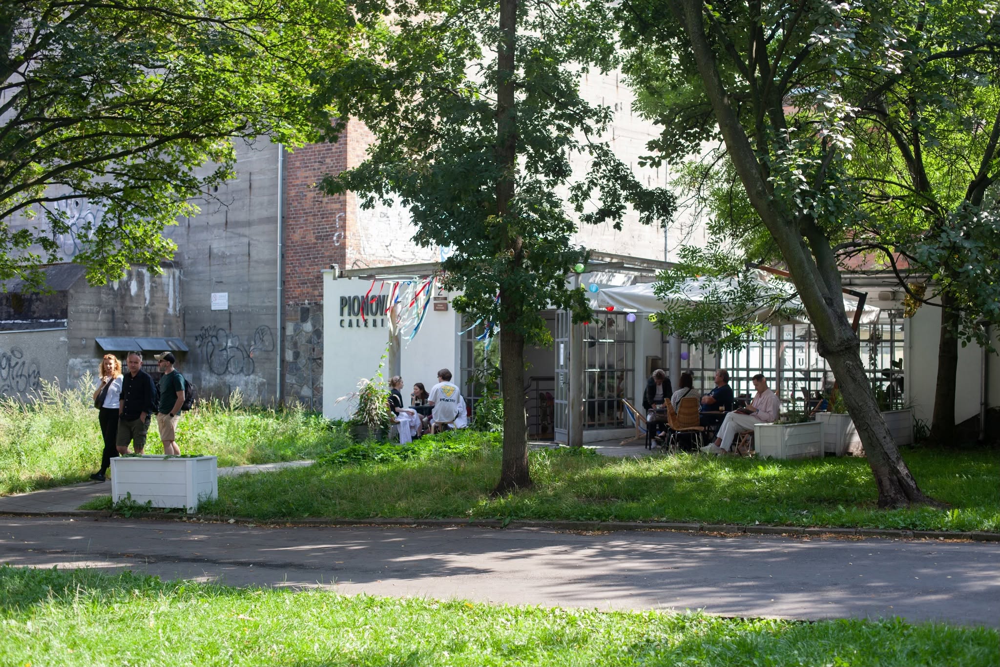 Zielony ogródek i wejście do Cafe Luis przy Olejarnej 2